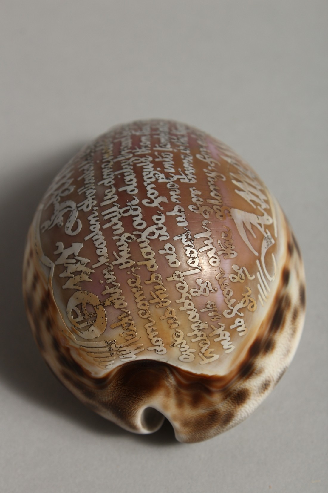 A SHELL CARVED WITH THE LORD'S PRAYER. 3ins. - Bild 4 aus 7