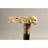 A BONE HANDLE WALKING STICK, HORSE'S AND DOG'S HEAD 36ins high.