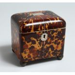 A VERY GOOD SMALL REGENCY TORTOISESHELL TWO DIVISION TEA CADDY with segmented top on four bun