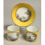 A LATE 18TH CENTRUY / EARLY 19TH CENTURY BERLIN PAIR OF YELLOW GROUND COFFEE CANS and a matching