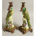 A PAIR OF CONTINENTAL PORCELAIN PARROT CANDLESTICKS on ormolu bases. 13ins high.