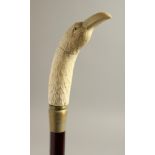 A BONE HANDLE WALKING STICK, BIRD'S HEAD. 38ins long.