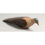 A PAINTED WOODEN BIRD. 13ins long.