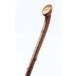 A RUSTIC BRIAR WALKING CANE 34ins long.