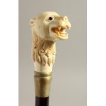 A BONE HANDLE WALKING STICK, CHINESE LION. 33ins long.