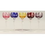 A SET OF FIVE COLOURED HOCK GLASSES, with grape and vine engraved decoration (one A/F). 8.25ins