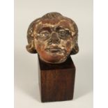 A 17TH CENTURY CARVED LIMEWOOD CHERUB'S HEAD on a stand. 4ins