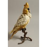 A VIENNA PAINTED COLD CAST PARROT on a branch. 11.5ins high.