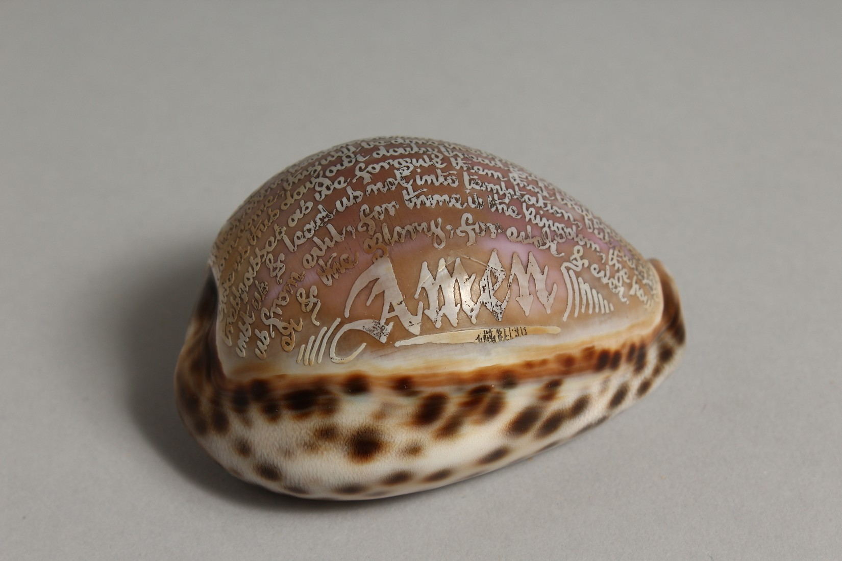 A SHELL CARVED WITH THE LORD'S PRAYER. 3ins. - Image 2 of 7