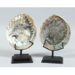 TWO ABALONE SHELLS on stands. 5.5ins .