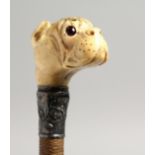 A 19TH CENTURY WHIP, the handle as a carved ivory bulldog and bear with glass eyes and silver band.