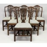 A SET OF SIX GEORGIAN MAHOGANY SINGLE DINING CHAIRS