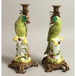 A PAIR OF CONTINENTAL PORCELAIN PARROT CANDLESTICKS, on ormolu bases. 13ins high.