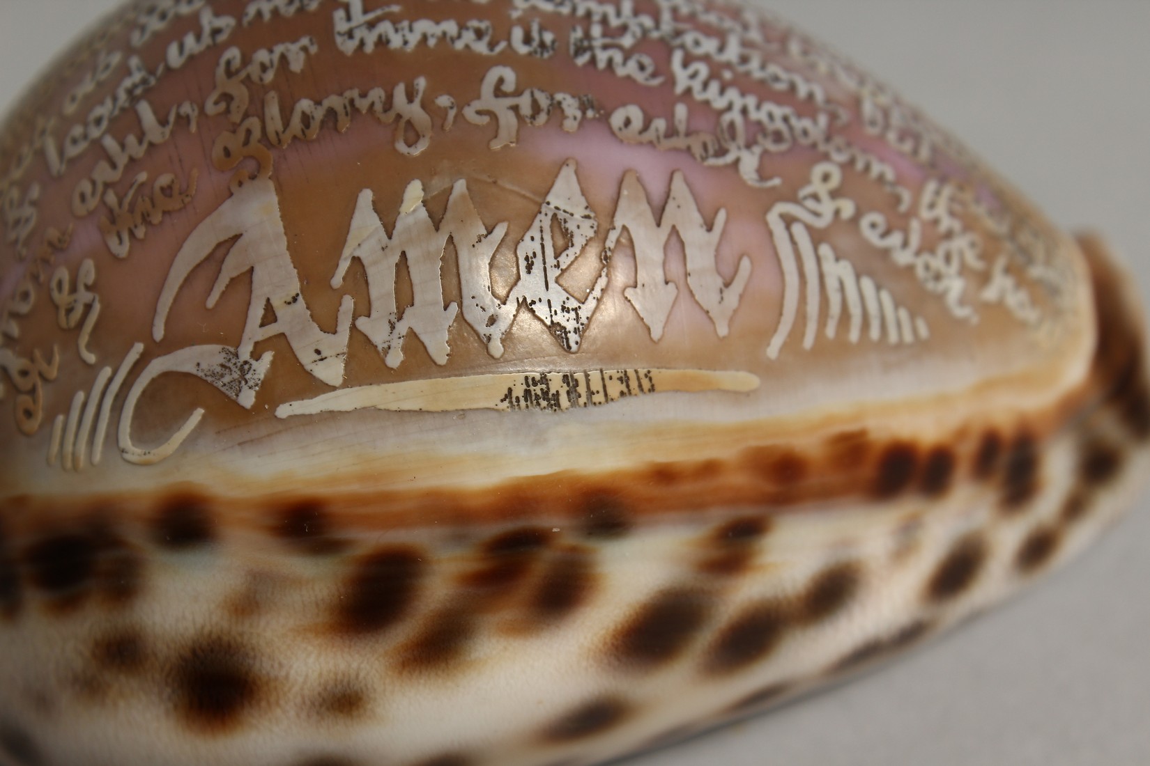 A SHELL CARVED WITH THE LORD'S PRAYER. 3ins. - Image 3 of 7
