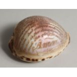 A SHELL CARVED WITH THE LORD'S PRAYER. 4ins.
