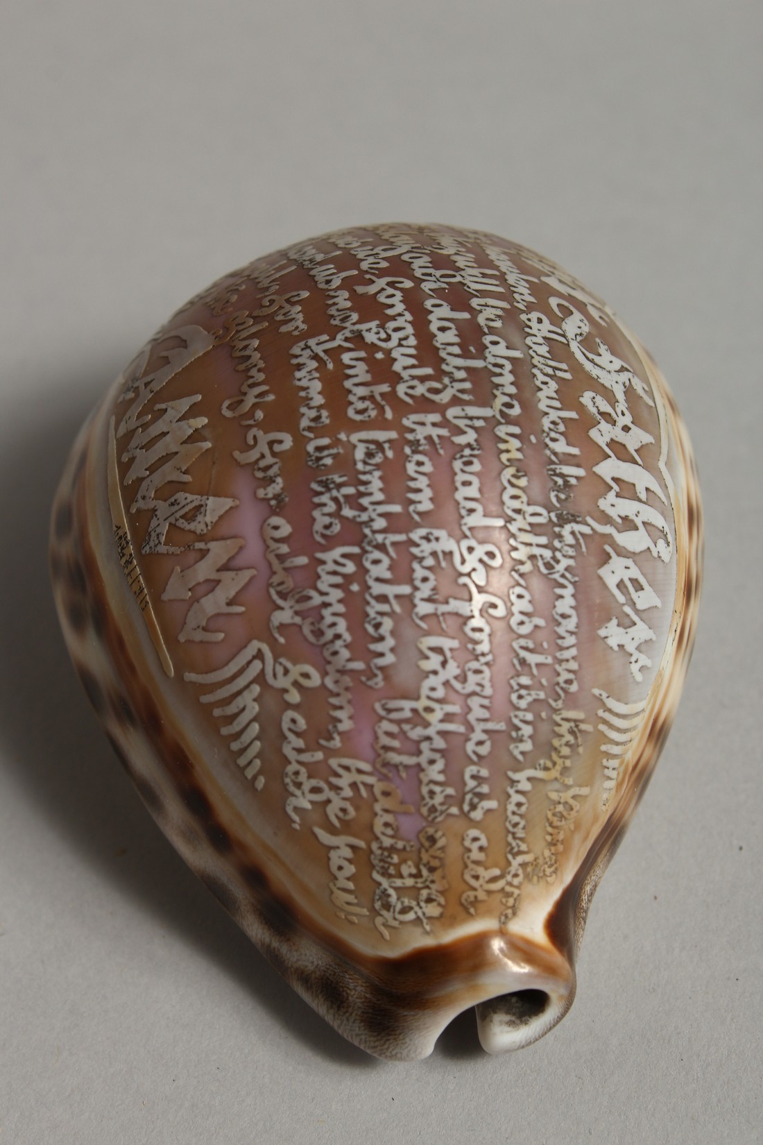 A SHELL CARVED WITH THE LORD'S PRAYER. 3ins. - Image 6 of 7