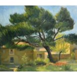 20th Century Continental School, a study of a tree in the grounds of a villa, oil on board, 21" x