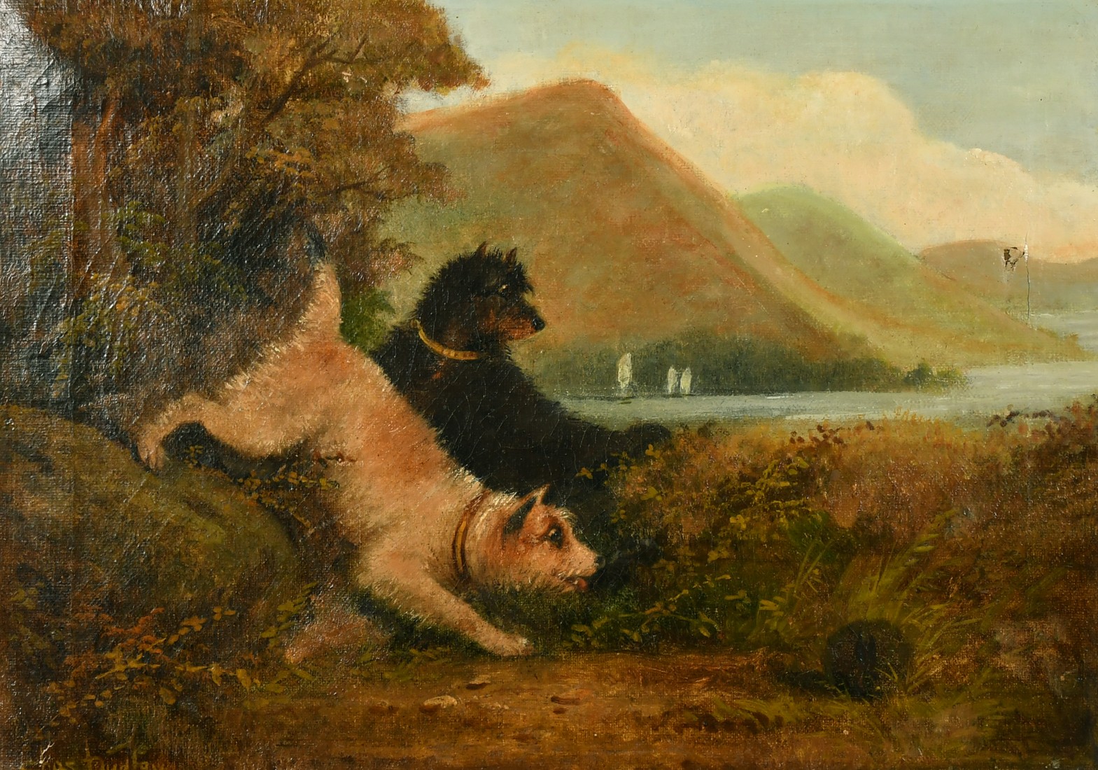 Charles Dudley (19th/20th Century), terriers ratting with sailboats on a mountain lake beyond, oil