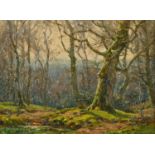 Frederick Golden Short (1863-1936) British, Trees in a winter wood with moss on the ground, oil on