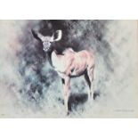 David Shepherd, 'Kudu', signed in pencil, 6.75" x 9.75".