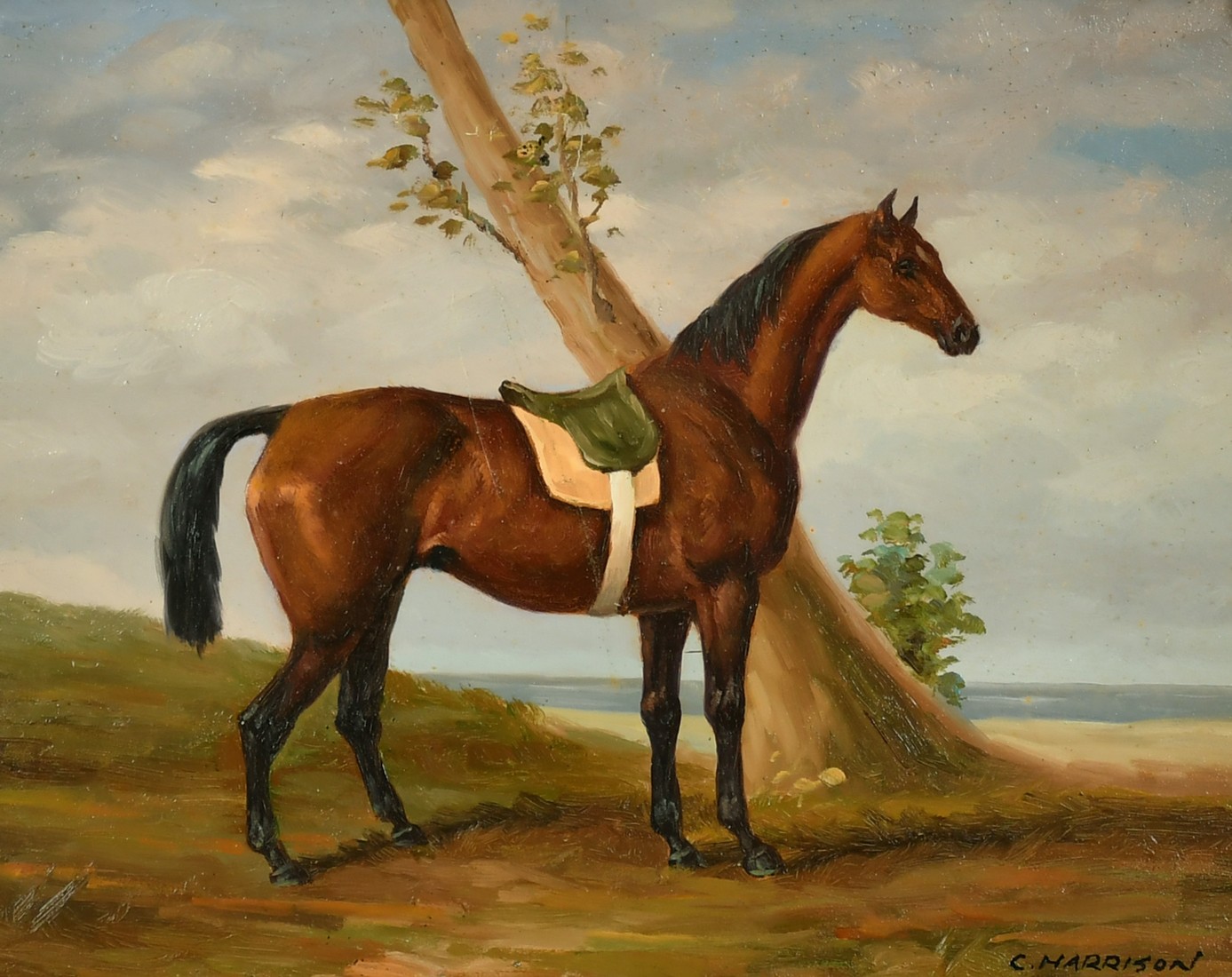 C. Harrison (20th Century), a scene of a horse in an open landscape, oil on panel, 8" x 10".