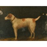 Late 19th Century English School, a study of a terrier, oil on board, 8" x 10".