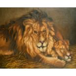 A. Webster (20th Century), Lions at rest, oil on canvas, signed, 28" x 36".