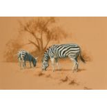 Stephen Pearson, 'Zebras Grazing', watercolour, signed, 14.25" x 19.5", trade label verso, John