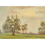 John Brown (20th Century) British, a view of trees with sun breaking through cloud, oil on board,