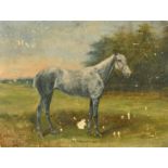 An Early 20th Century portrait of a horse, oil on board, 12" x 16", (unframed), (A/F).