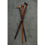 Three various walking sticks.