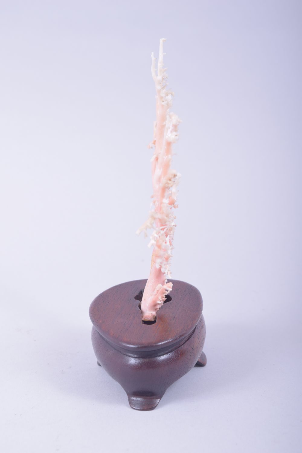 A NATURALISTIC CORAL SPECIMEN, mounted to a hardwood base, overall height 17cm. - Image 4 of 6