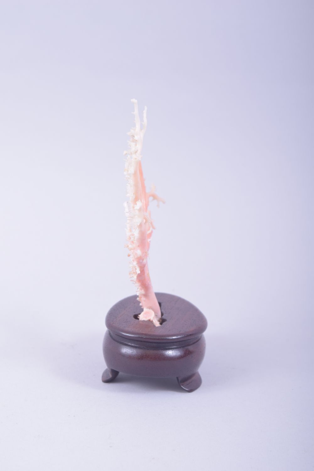 A NATURALISTIC CORAL SPECIMEN, mounted to a hardwood base, overall height 17cm. - Image 2 of 6