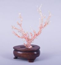 A NATURALISTIC CORAL SPECIMEN, mounted to a hardwood base, overall height 17cm.