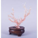 A NATURALISTIC CORAL SPECIMEN, mounted to a hardwood base, overall height 17cm.