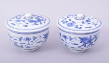 A PAIR OF CHINESE BLUE AND WHITE PORCELAIN POTS AND COVERS, each painted with chilong and foliate