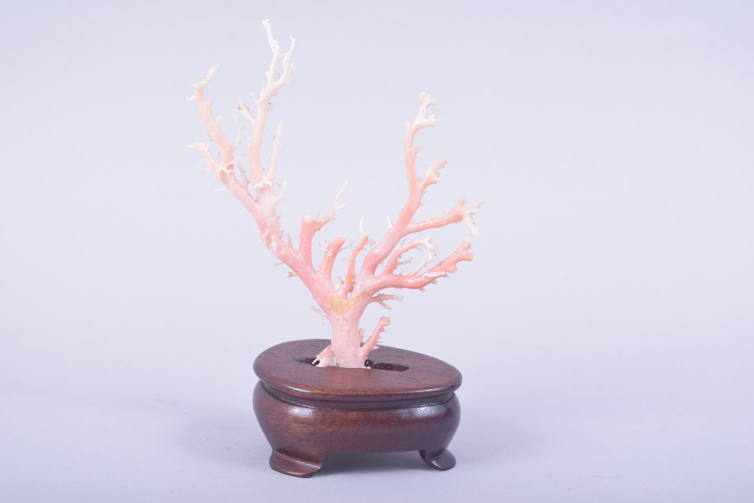 A NATURALISTIC CORAL SPECIMEN, mounted to a hardwood base, overall height 17cm. - Image 3 of 6