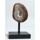 A GEODE SPECIMEN on a stand 3.5ins high.