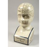 A LARGE POTTERY PHRENOLOGY HEAD. 16ins high.