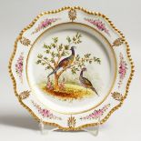 A 19TH CENTURY FLIGHT BARR AND BARR GADROONED BORDER PLATE painted with exotic birds in landscape,
