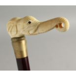 A WALKING STICK with carved bone handle 'Nude'. 34ins long.