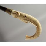 A WALKING STICK with carved bone handle 'Elephant'. 35ins long.