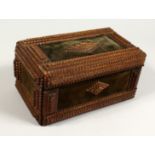 A GOOD 19TH CENTURY BOX with velvet panels 11ins long.