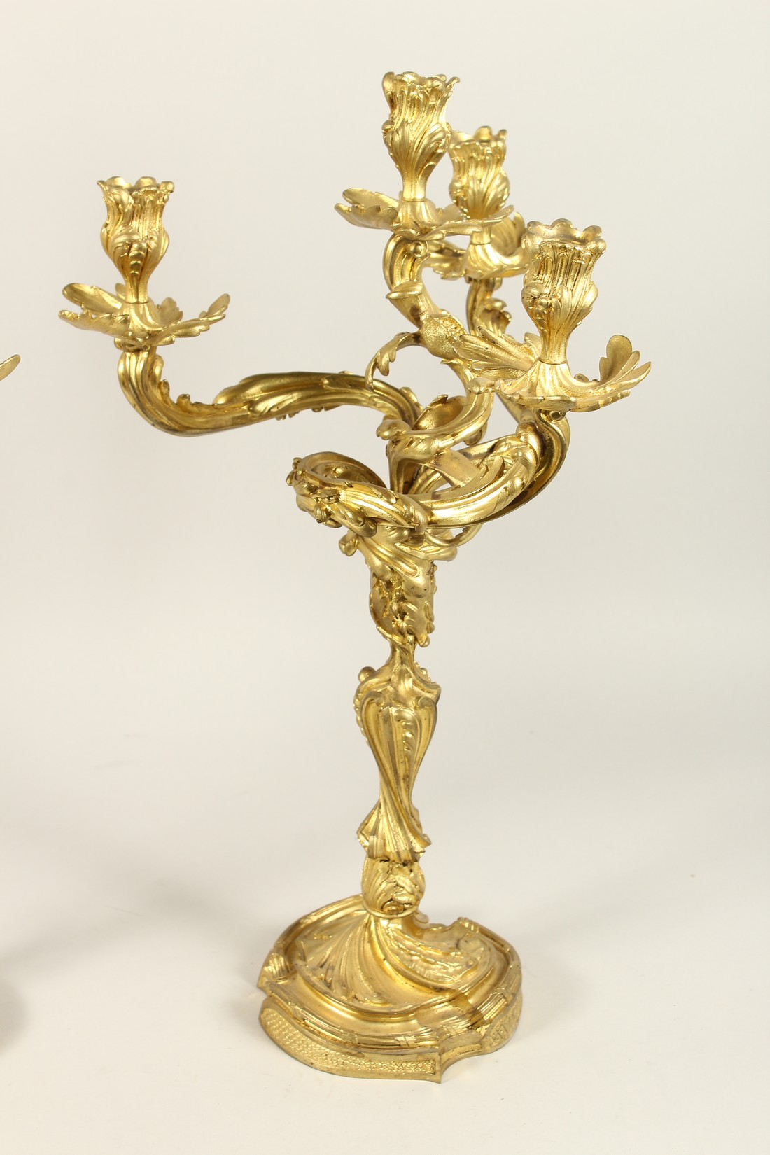 A GOOD PAIR OF ROCOCCO ORMOLU FOUR LIGHT CANDELABRA, with four naturalistic scrolling branches on - Image 5 of 5