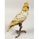 A VIENNA PAINTED COLD CAST BRONZE COCKATOO PARROT on a stand. 11ins high.