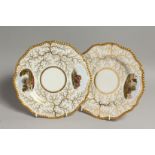 A BARR FLIGHT AND BARR PAIR OF PLATES with seaweed gilding, one painted with All Saints Church,