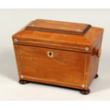 A REGENCY MAHOGANY 2 DIVISION TEA CADDY with mother of pearl inlay and brass liners on bun feet. 7.