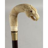 A WALKING STICK with carved bone handle 'Eagle head'. 35ins long.