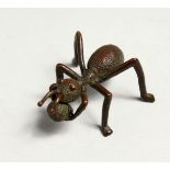 A JAPANESE BRONZE ANT, 5cm