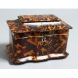 A GOOD REGENCY, TORTOISESHELL, SHAPED BOW FRONTED, TWO DIVISION TEA CADDY on bun feet. 7.5ins long.